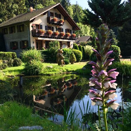 Chambres D'Hotes Des Cascades St-Nicolas Kruth Kültér fotó