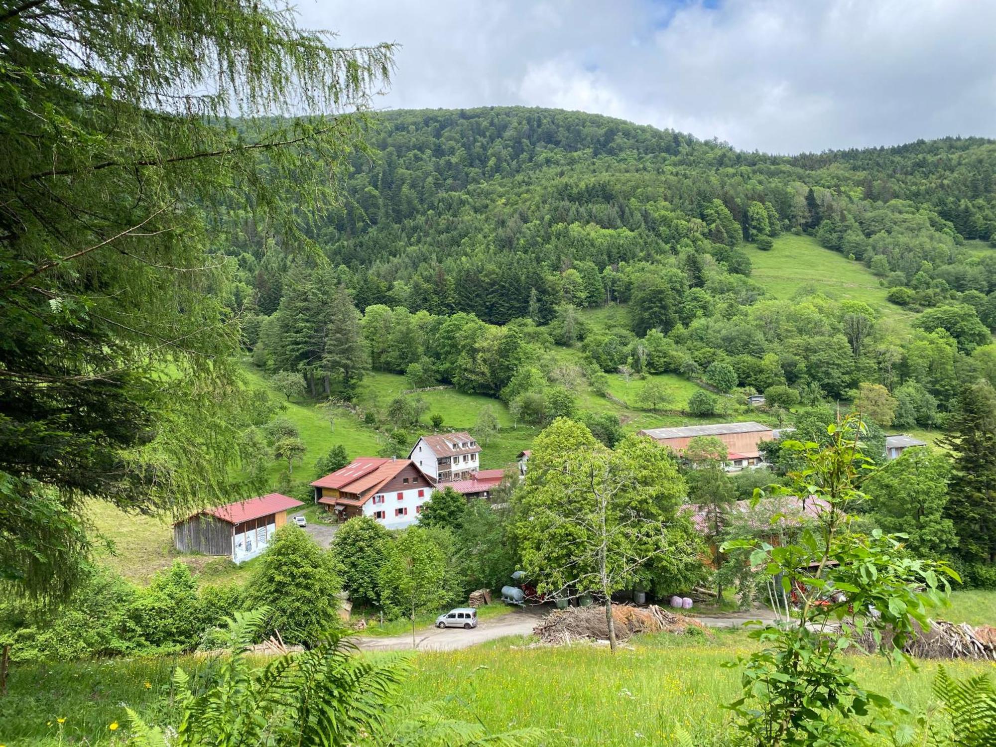 Chambres D'Hotes Des Cascades St-Nicolas Kruth Kültér fotó