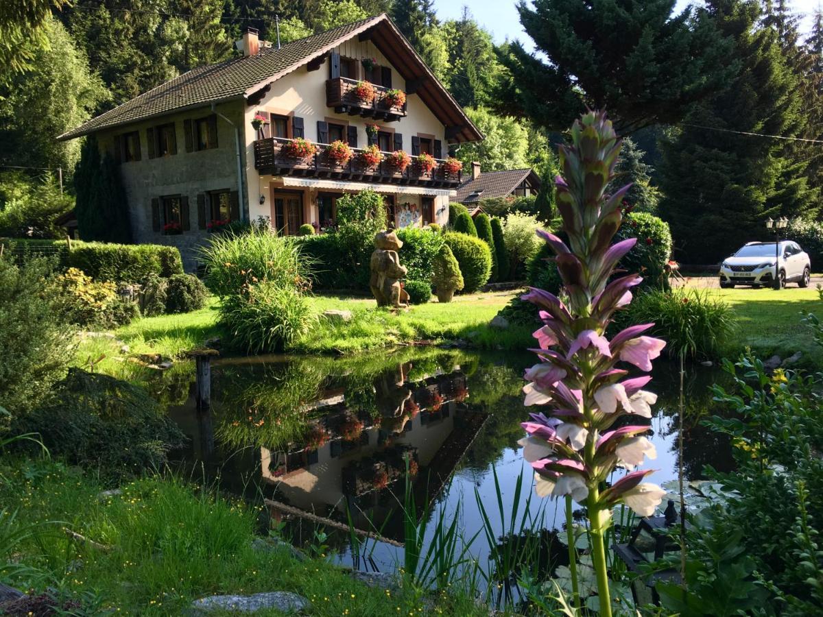 Chambres D'Hotes Des Cascades St-Nicolas Kruth Kültér fotó